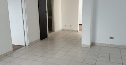 Calle Euler San Borja