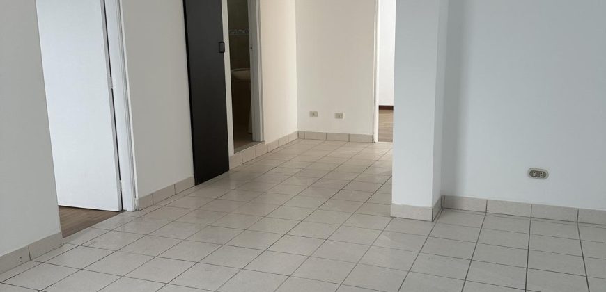 Calle Euler San Borja